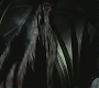 Halfblood-01305.jpg