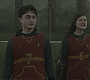 Halfblood-01322.jpg