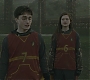 Halfblood-01325.jpg