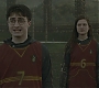 Halfblood-01328.jpg