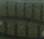 Halfblood-01360.jpg