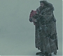 Halfblood-01555.jpg