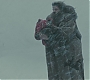 Halfblood-01557.jpg