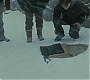 Halfblood-01559.jpg