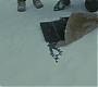 Halfblood-01561.jpg