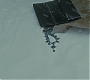 Halfblood-01562.jpg
