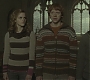 Halfblood-01578.jpg