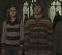 Halfblood-01580.jpg