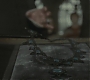 Halfblood-01581.jpg