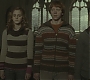 Halfblood-01586.jpg