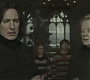 Halfblood-01590.jpg