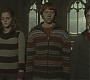 Halfblood-01591.jpg