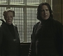 Halfblood-01594.jpg