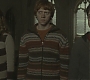 Filename=Halfblood-01599.jpg
Filesize=130KiB
Dimensions=1920x800
Date added=Sep 11, 2010 Halfblood-01599.jpg