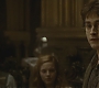 Halfblood-01693.jpg