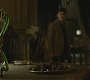 Halfblood-01712.jpg