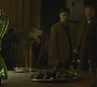 Halfblood-01713.jpg