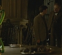 Halfblood-01715.jpg