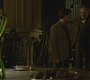 Halfblood-01716.jpg