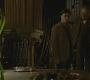 Halfblood-01717.jpg