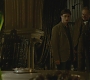 Halfblood-01718.jpg