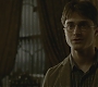Halfblood-01729.jpg