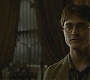 Halfblood-01739.jpg