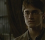 Halfblood-01753.jpg