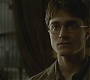 Halfblood-01757.jpg