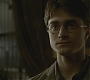 Halfblood-01758.jpg