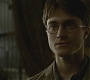 Halfblood-01759.jpg