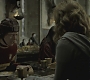 Halfblood-01795.jpg