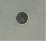 Halfblood-01818.jpg