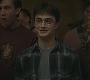 Halfblood-01867.jpg