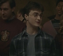 Halfblood-01868.jpg