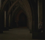 Halfblood-01884.jpg