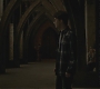Halfblood-01885.jpg