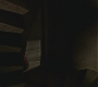 Halfblood-01887.jpg
