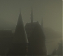 Halfblood-01953.jpg