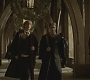 Halfblood-01959.jpg