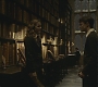 Halfblood-01979.jpg