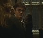 Halfblood-01983.jpg