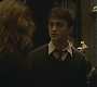 Halfblood-01987.jpg