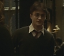 Halfblood-01993.jpg