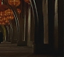 Halfblood-01999.jpg