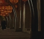 Halfblood-02000.jpg