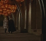 Halfblood-02001.jpg