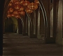 Halfblood-02004.jpg