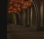 Halfblood-02005.jpg