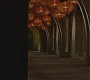 Halfblood-02006.jpg